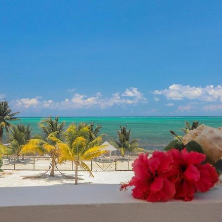 Treetops Hotel Caye Caulker Eksteriør bilde