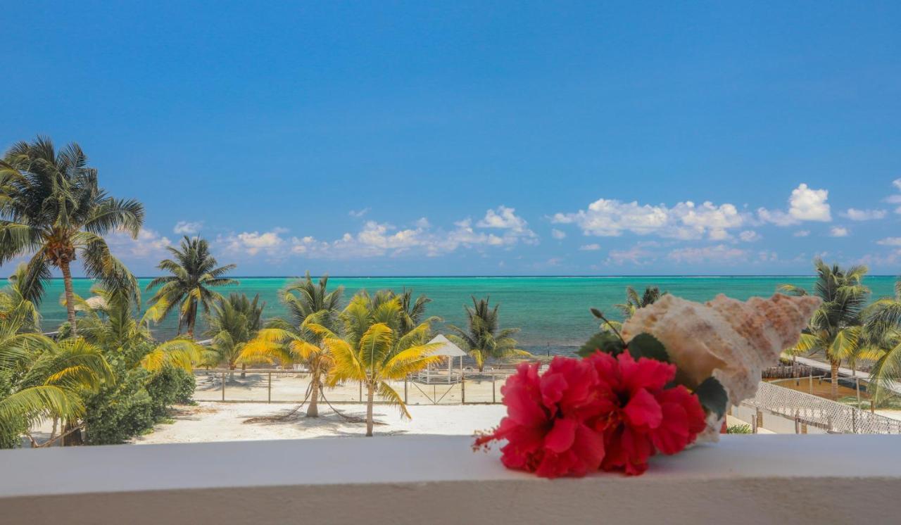 Treetops Hotel Caye Caulker Eksteriør bilde