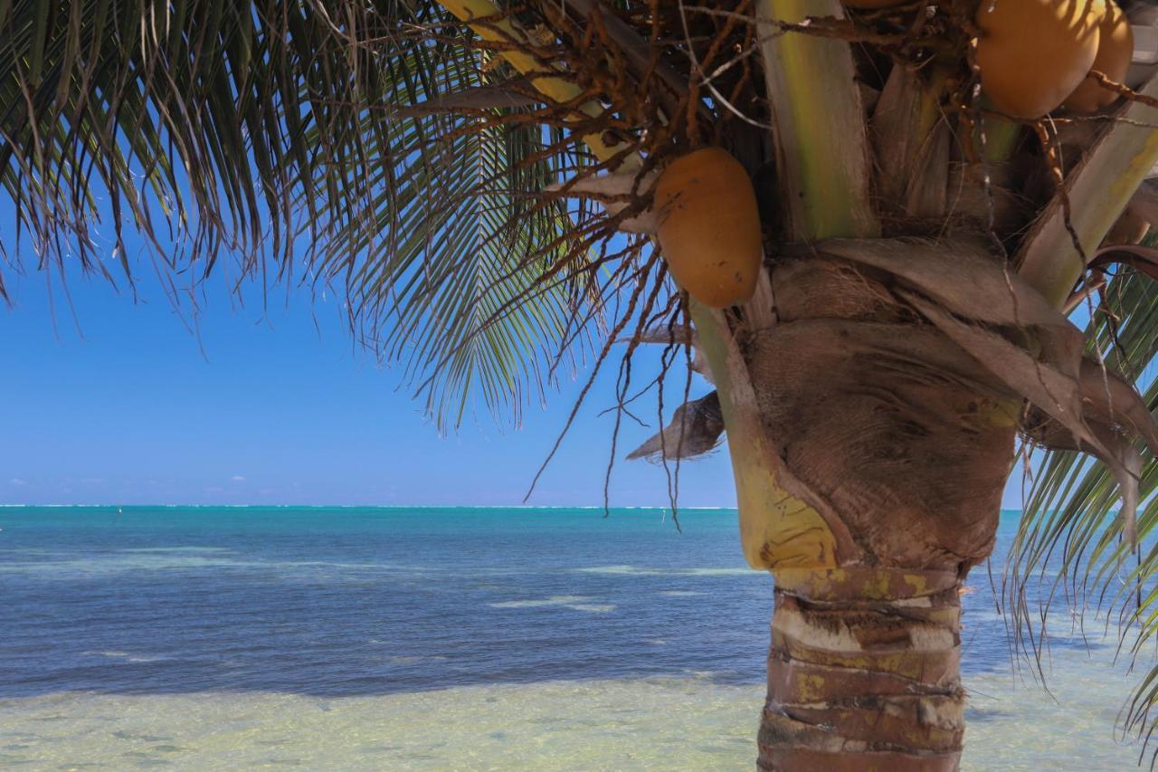 Treetops Hotel Caye Caulker Eksteriør bilde