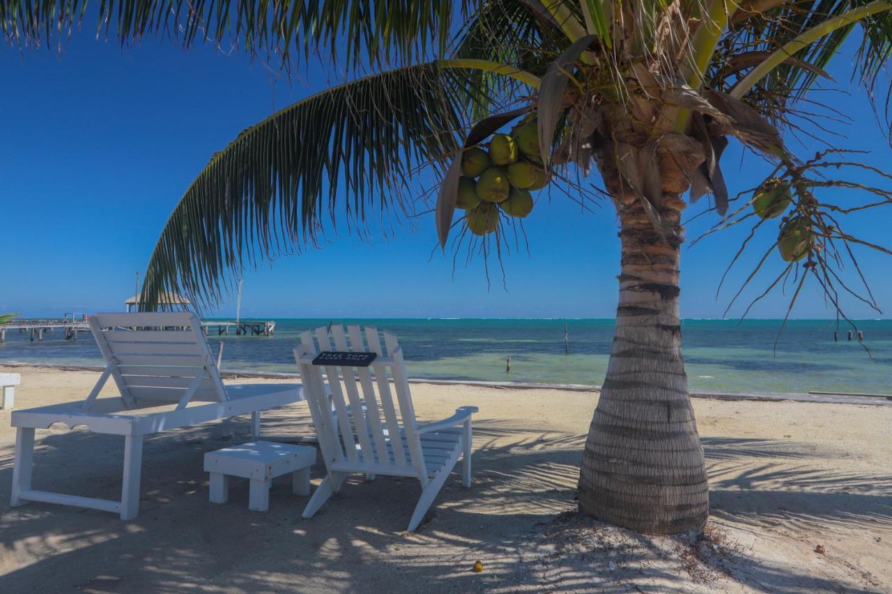 Treetops Hotel Caye Caulker Eksteriør bilde