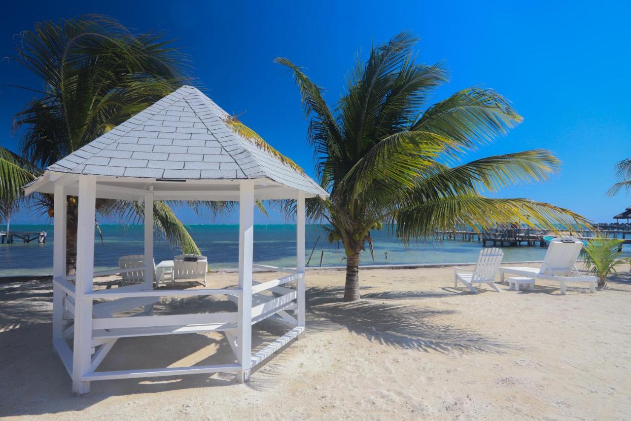 Treetops Hotel Caye Caulker Eksteriør bilde